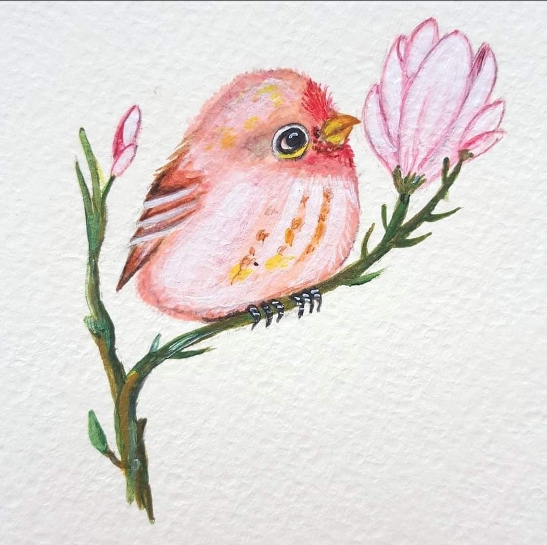 294759304_542185731036876_5840929167490340323_n