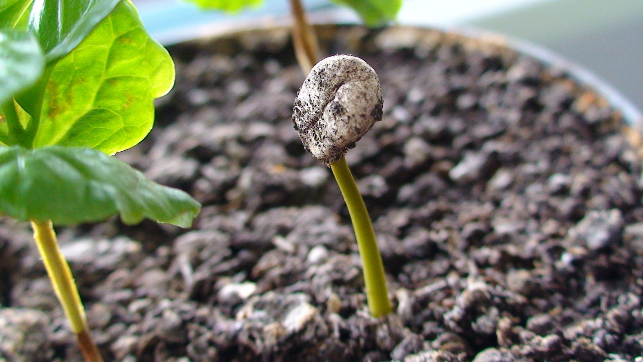 299085250_498566838740995_173365551017247490_n