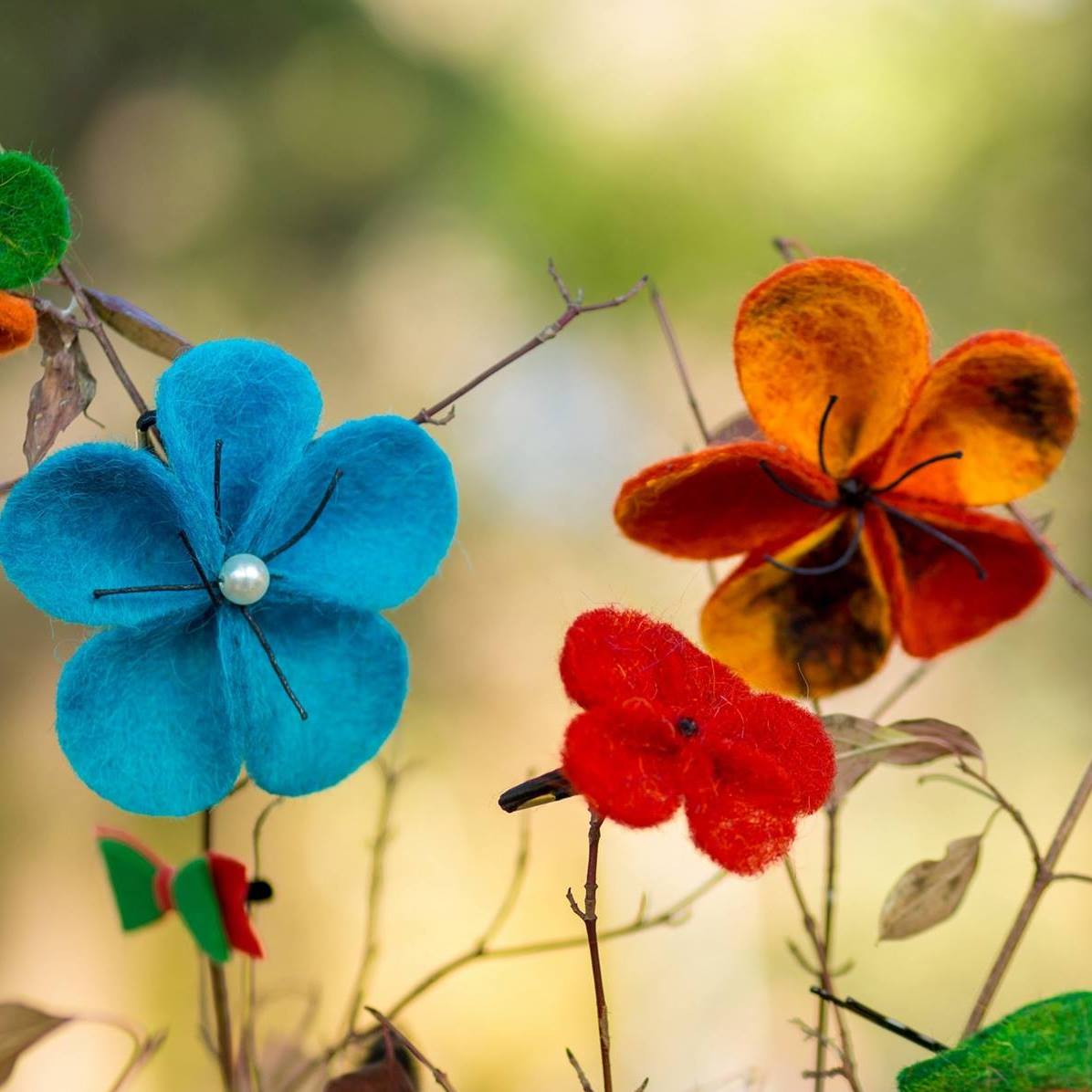 302154660_508593347938030_1402758678728119953_n