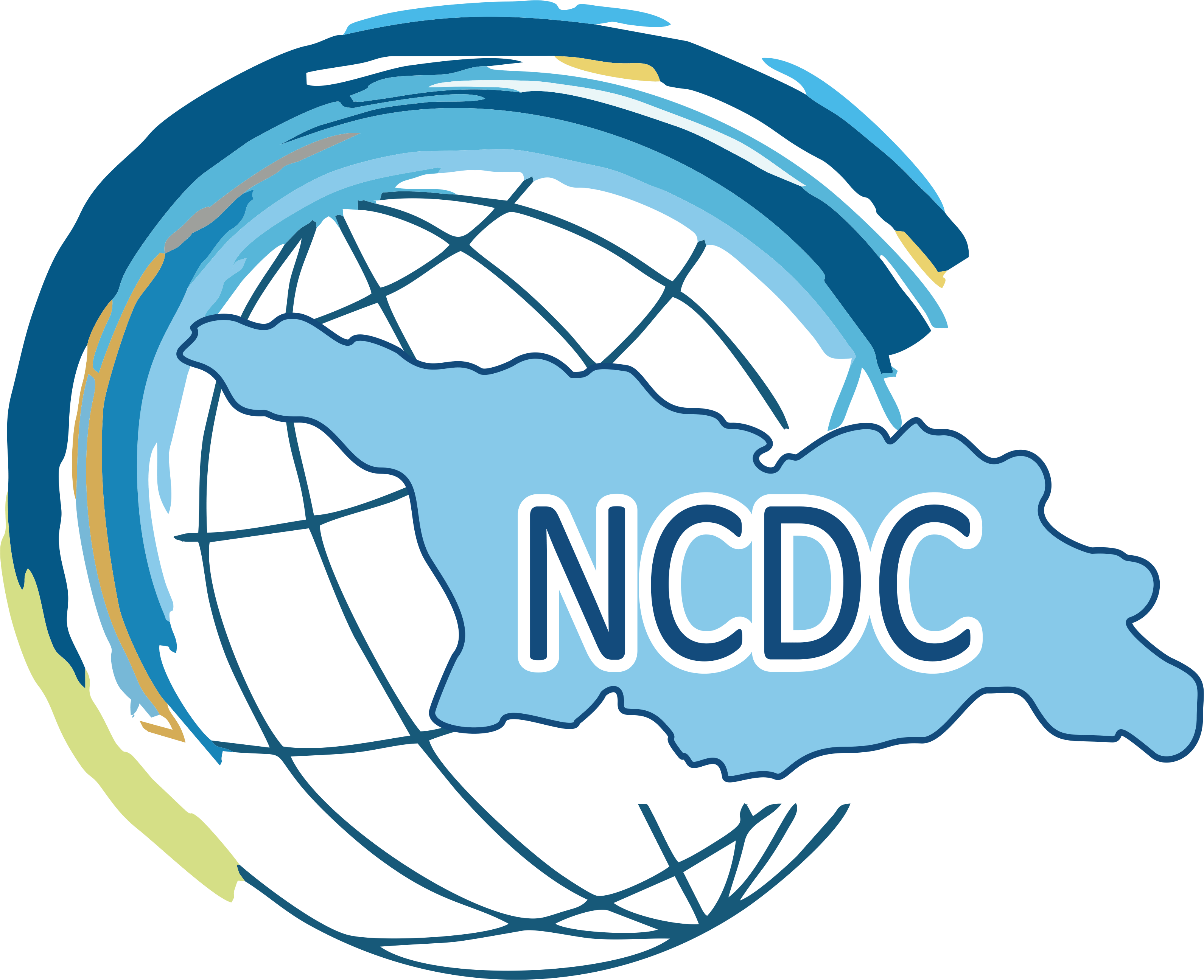 ncdc-logo-big